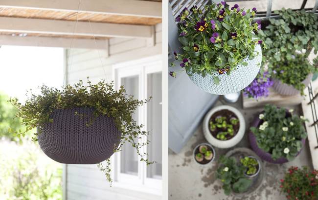 Кашпо Cozies S подвесное Violet 610 Кашпо Cozies S подвесное Violet 610