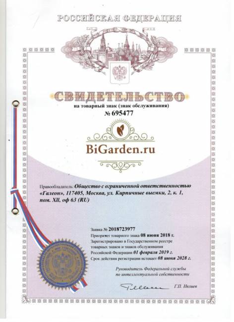 Двойное подвесное кресло "Gemini promo Gray BS", без стойки, Бежевая подушка